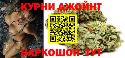 шишки Кандалакша