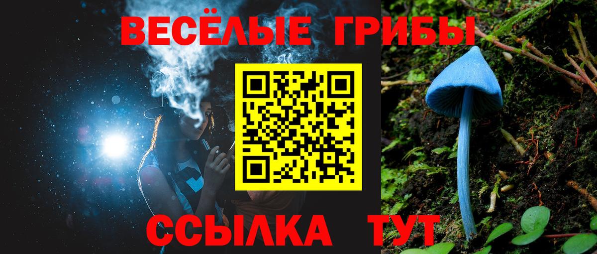 Псилоцибиновые грибы MAGIC MUSHROOMS  Вход с VPN  купить наркотики цена  Чапаевск 